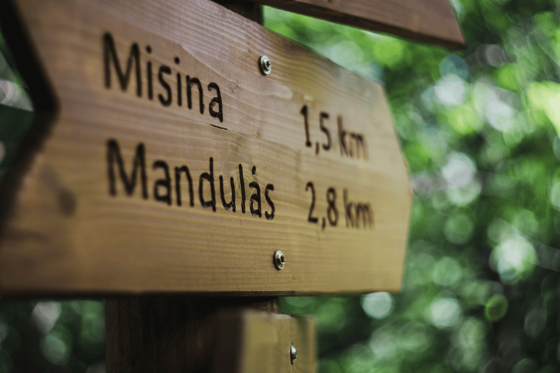 Travel Distance & Time Estimator: Plan Your Journeys