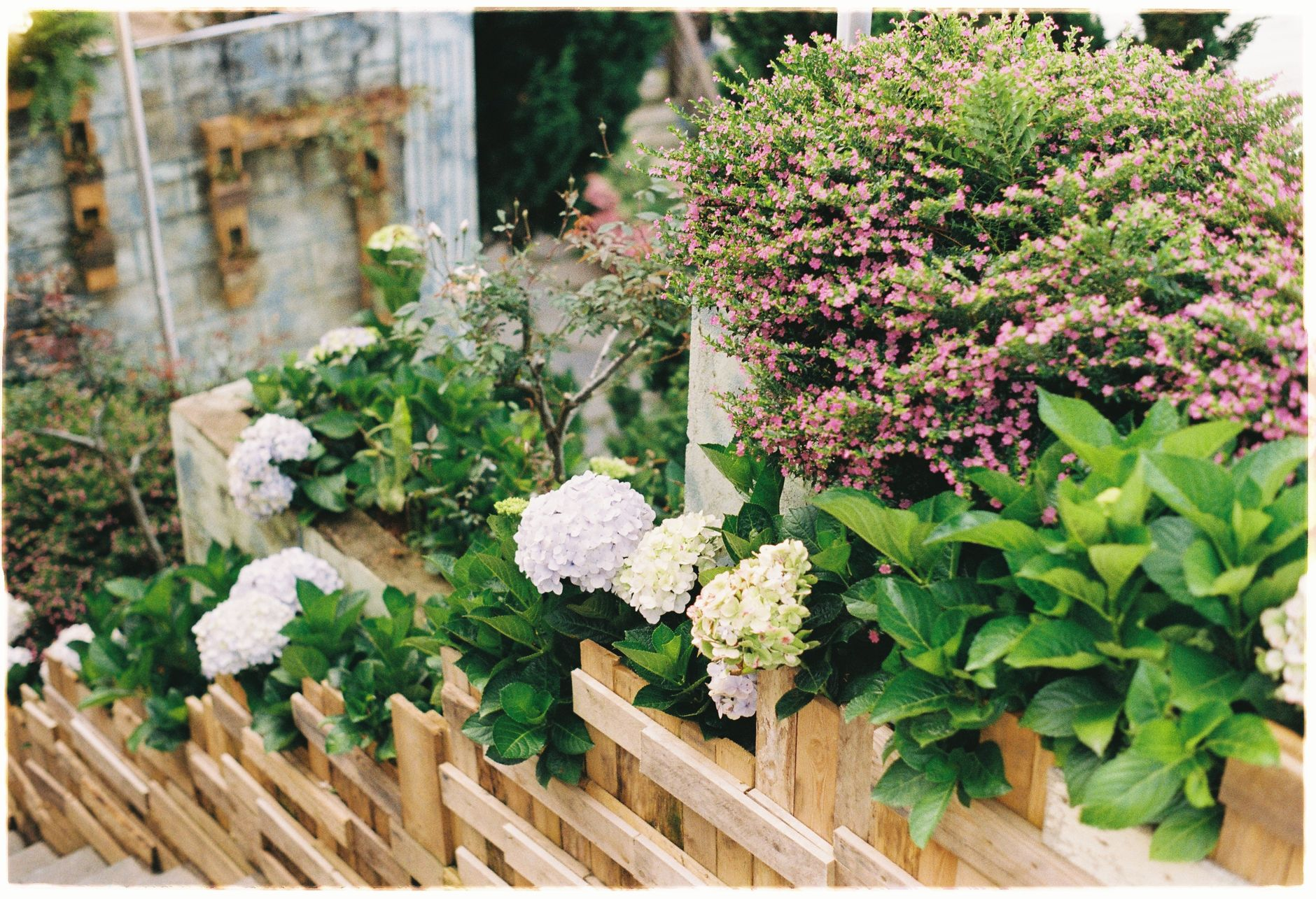 Garden Planting & Harvest Schedule Calculator | Plan Your Grow