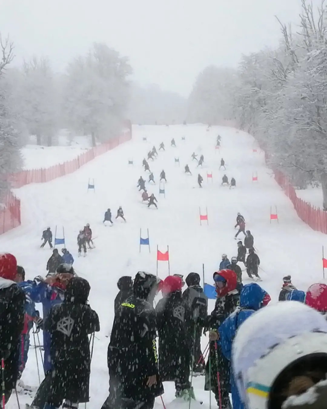 FIS Alpine Ski Racing Program in Europe