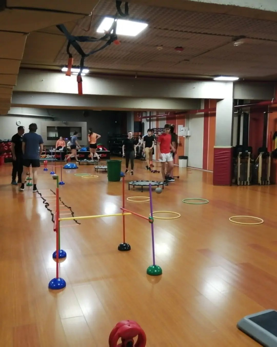 FIS Alpine Ski Racing Program in Europe