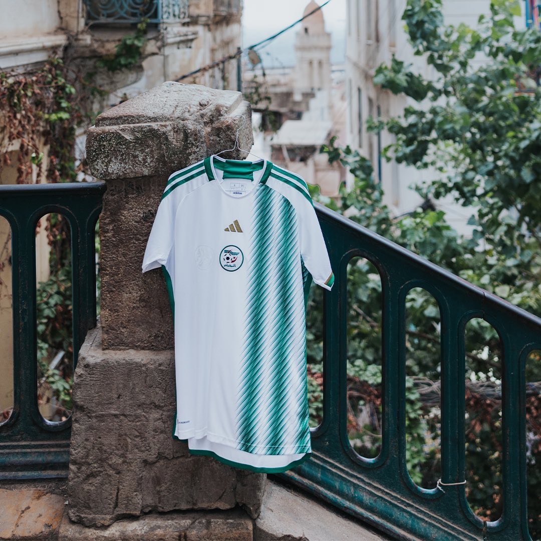 Débardeur Algérie Fennec - Maillot De Foot Supporter, Cadeau Original Pour Fans De L'équipe Algérienne (DZ) - 7