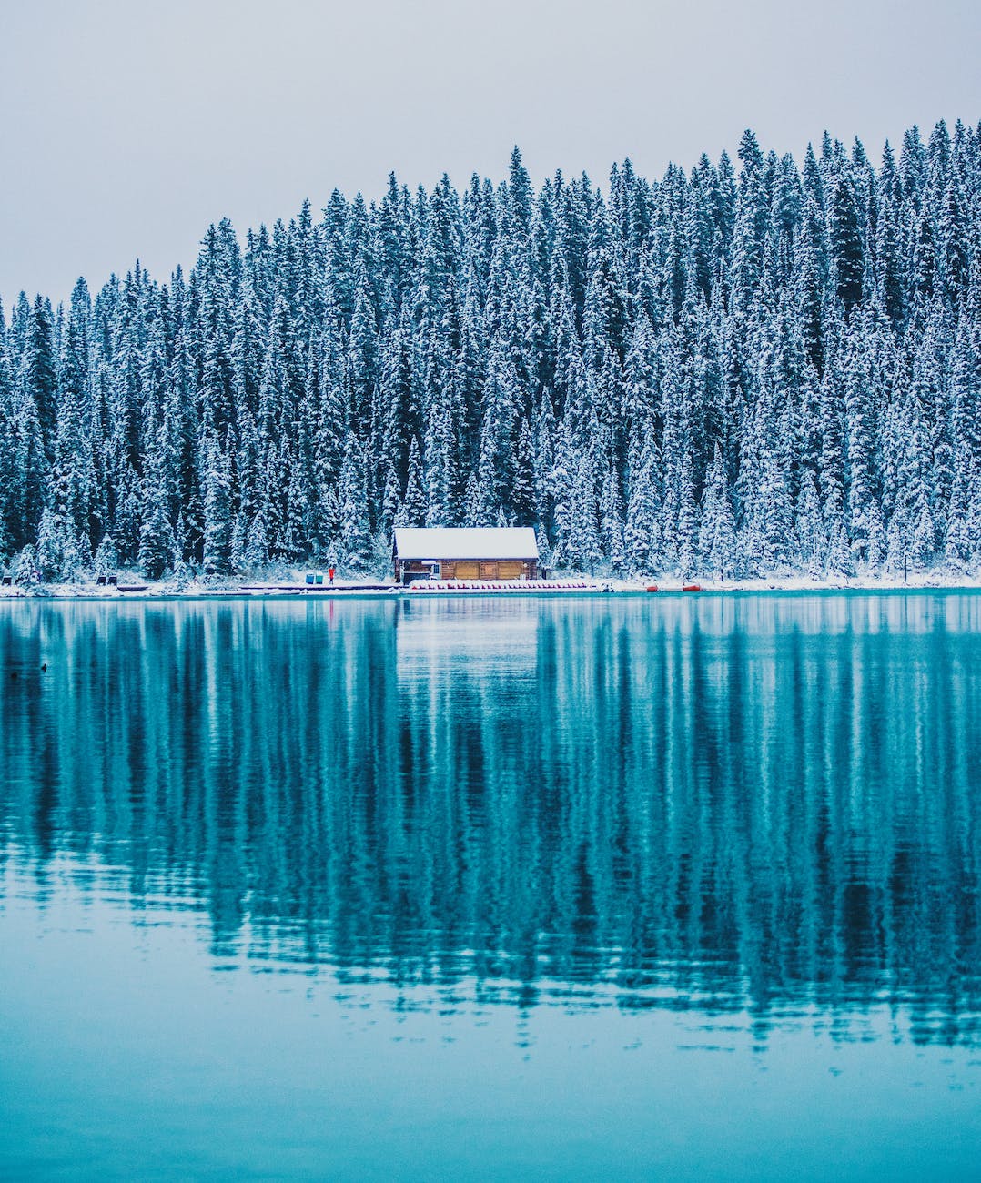 a cabin near lake louise in canada