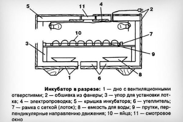 Инкубатор для выведения перепелов. Нужен ли инкубатор для перепелов в домашних условиях? Инкубатор для перепелов из ведра