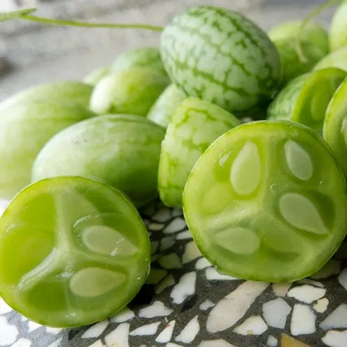 Cucamelon (Mini concombre mexicain) 'Mouse Melon'