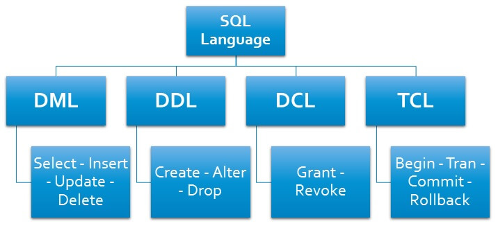 Comandos Ddl Y Dml Mysql Sql Bases De Datos Images