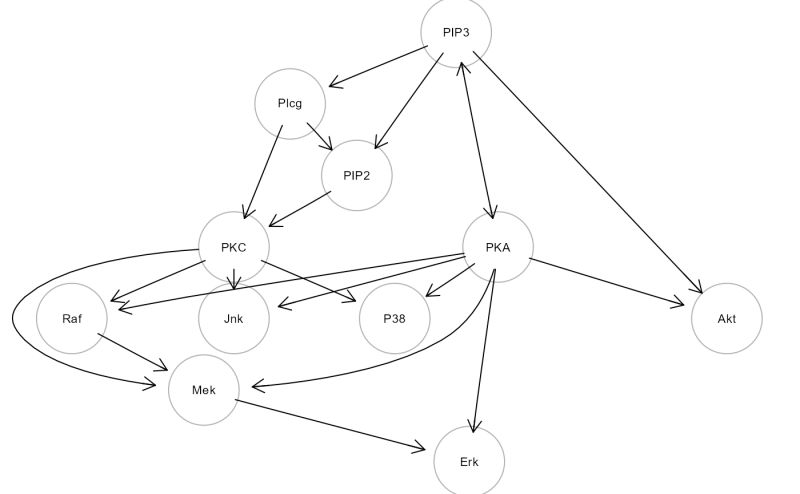 Render A Graph Graph Sem Dagitty Tidysem - High Quality 4K Nature Illustrations | Free Download