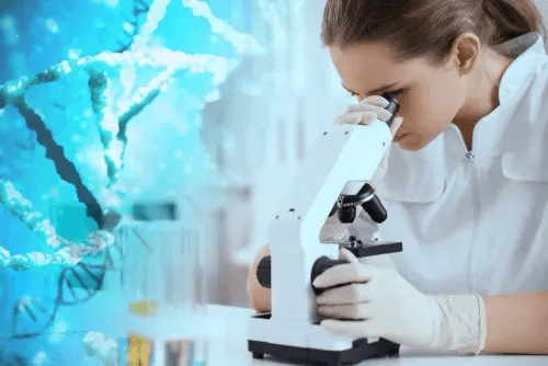 Embryo Genetic Testing (PGT)