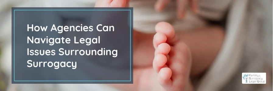 Common Legal Issues Surrounding Surrogacy That Agencies Should Address