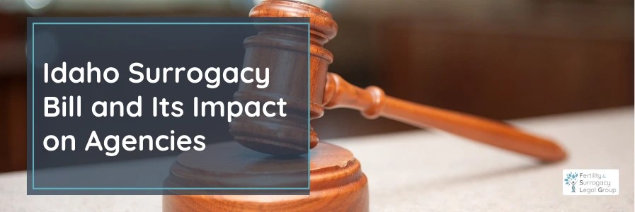 Idaho Surrogacy Bill and Its Impact on Agencies