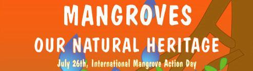 kata bijak albert einstein tentang kehidupan. Selamatkan Mangrove F E R T O B