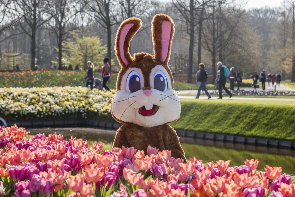 Week-end de Pâques tulipes Keukenhof