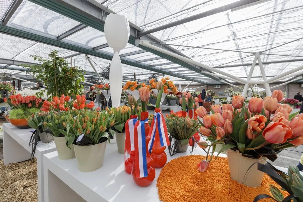 Jour du Roi à Keukenhof