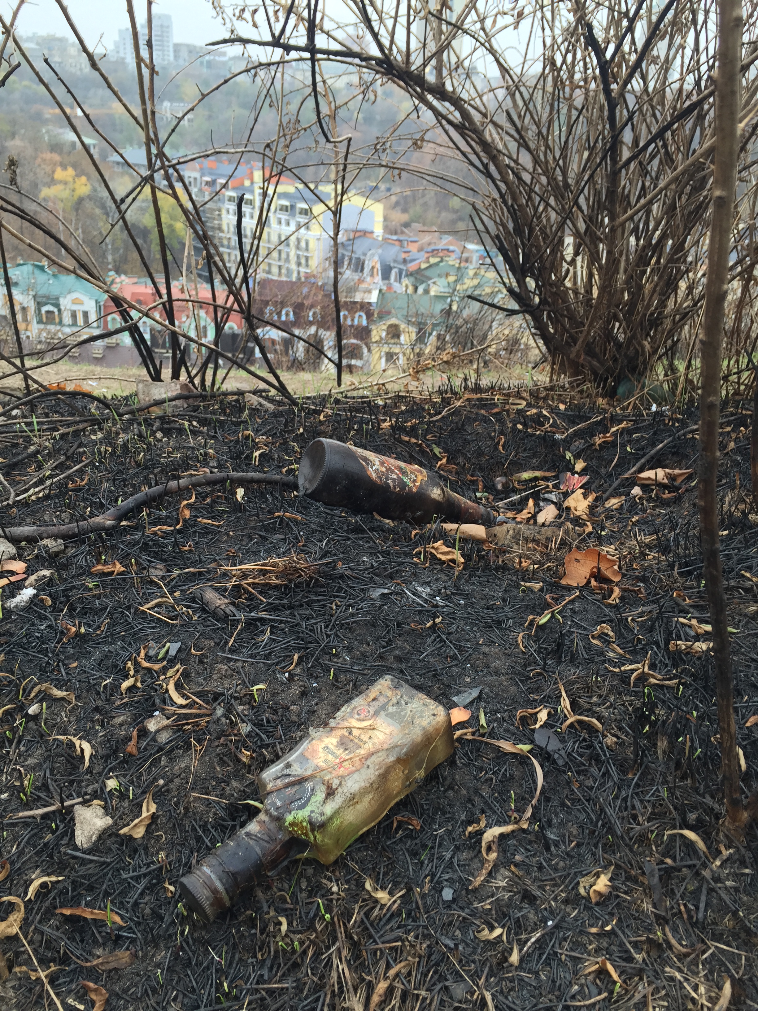 Charred Vice