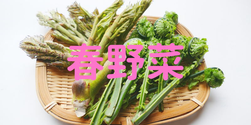 菜種類蔬菜分類表 Jkveno