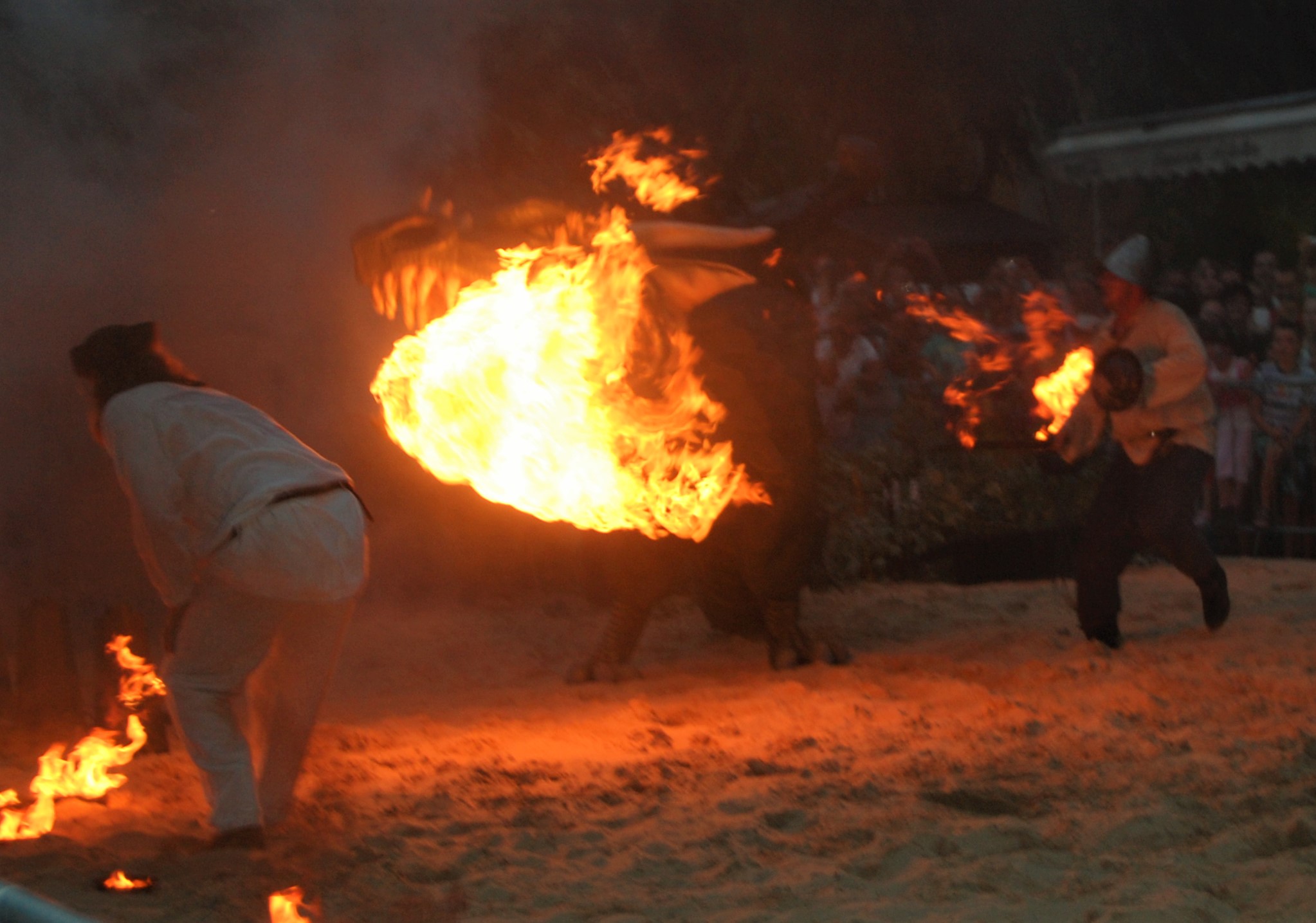 Dragon fight