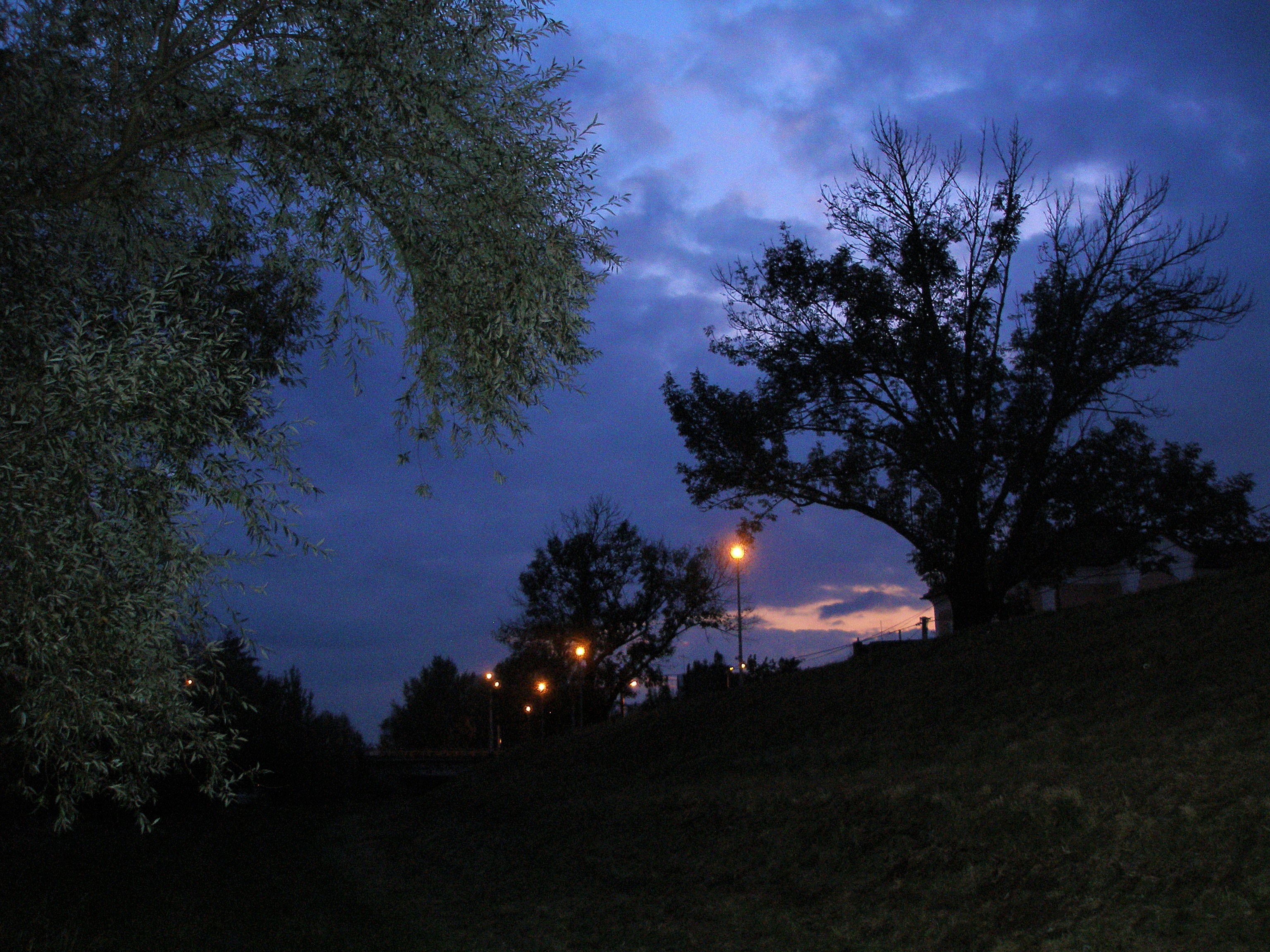 Trees at the Vag river
