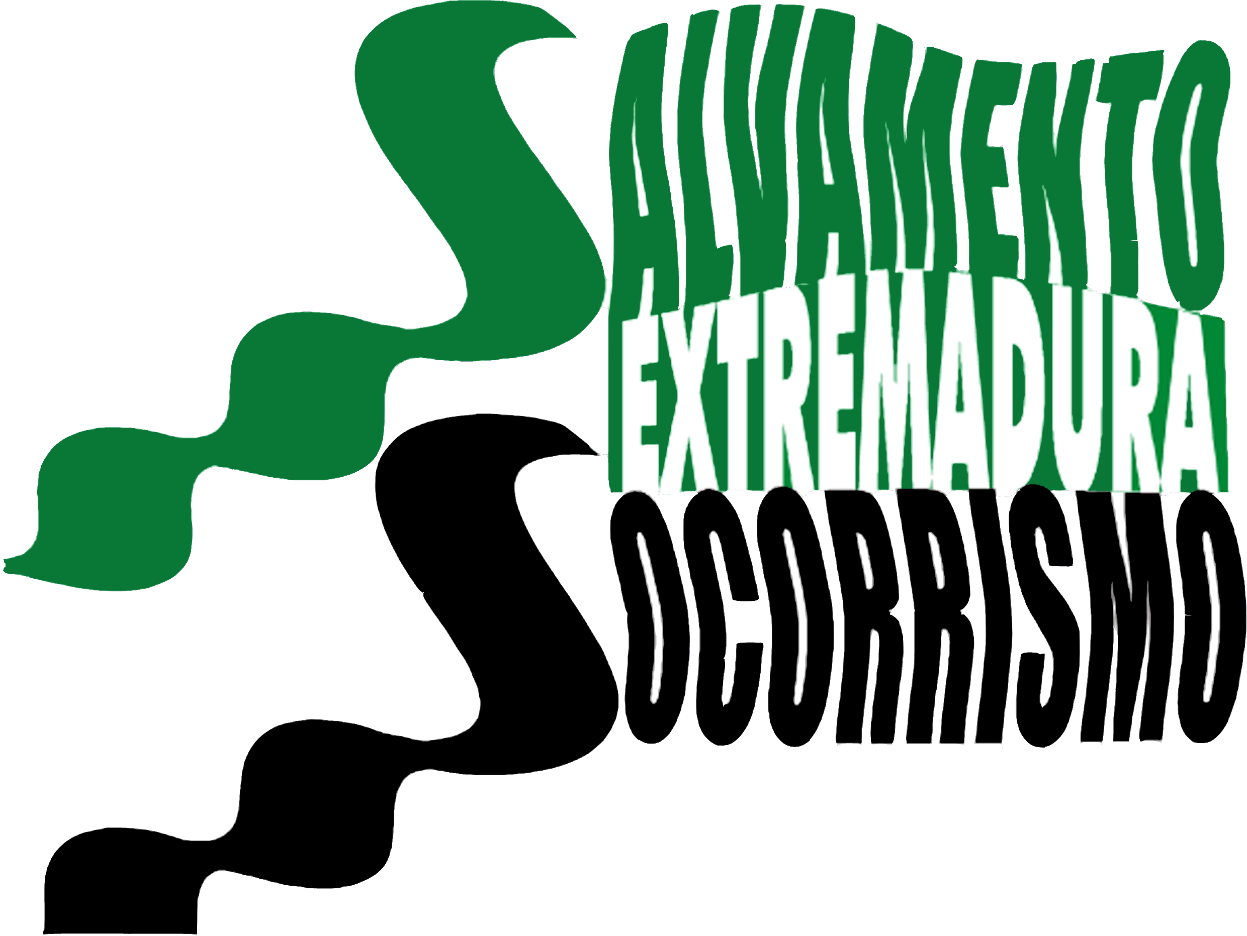 Federación Extremeña de Salvamento y Socorrismo