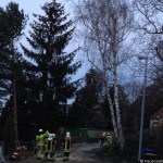 Einsatzkräfte aus Kaitz und der FW Altstadt, ein Baum drohte auf ein Wohnhaus zu sützen Einsatzkräfte aus Kaitz und der FW Altstadt, ein Baum drohte auf ein Wohnhaus zu sützen