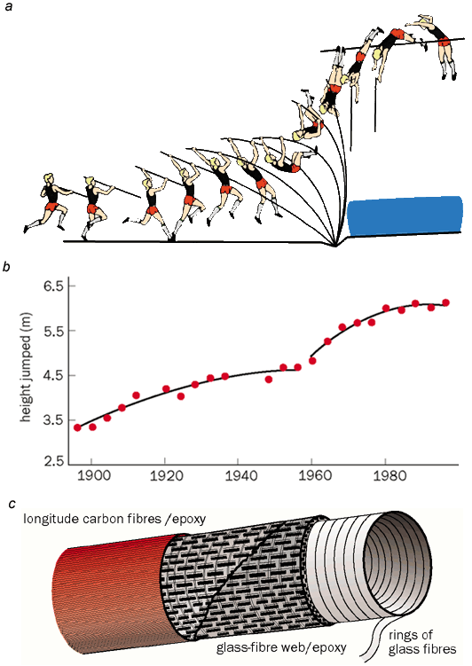 Pole Stiffness and Angle of Attack | Wisdumb For Life