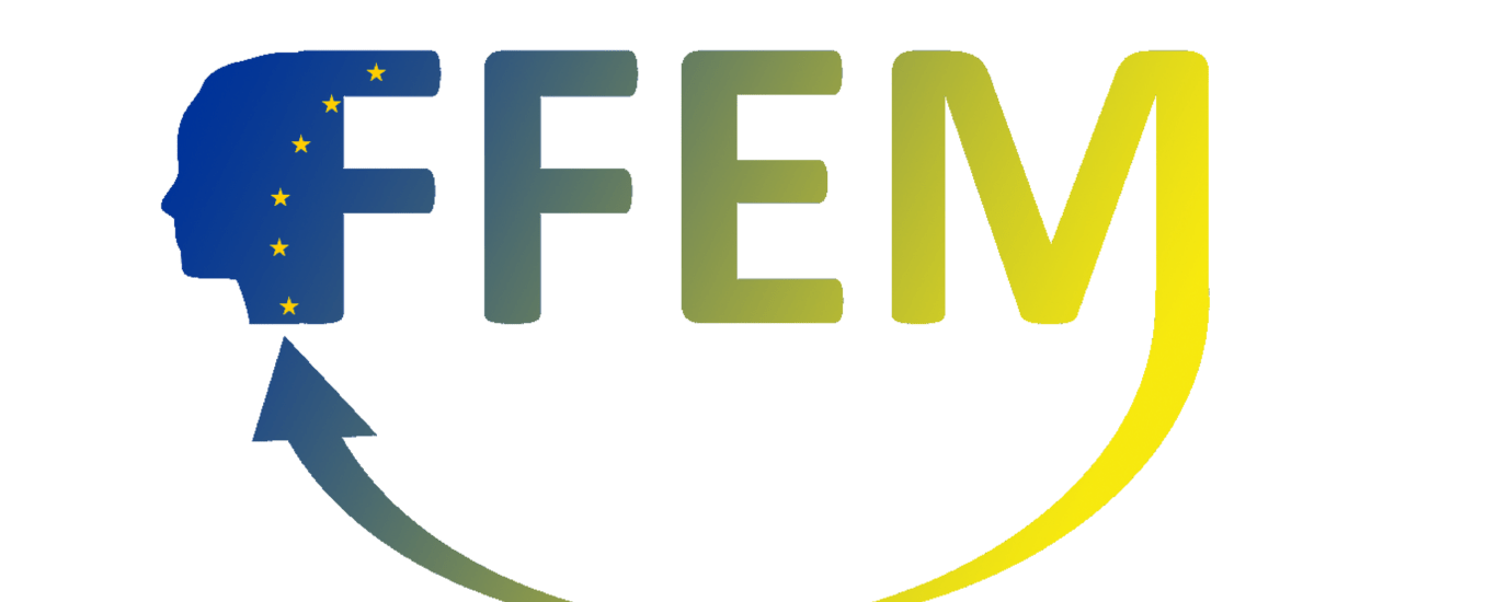 Second Transnational Project Meeting Ffem