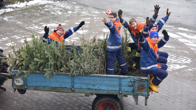 Weihnachtsbaum Aktion Weihnachtsbaum Aktion