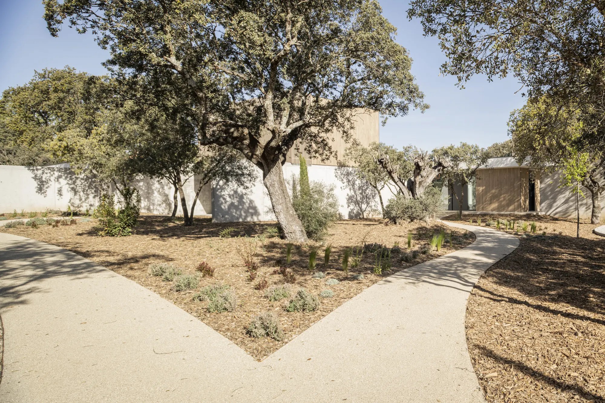 Jardín de vivienda unifamiliar contemporánea de FH2L Arquitectos en Villanueva de la Cañada, Madrid, con caminos curvos, arbolado y vegetación mediterránea.
