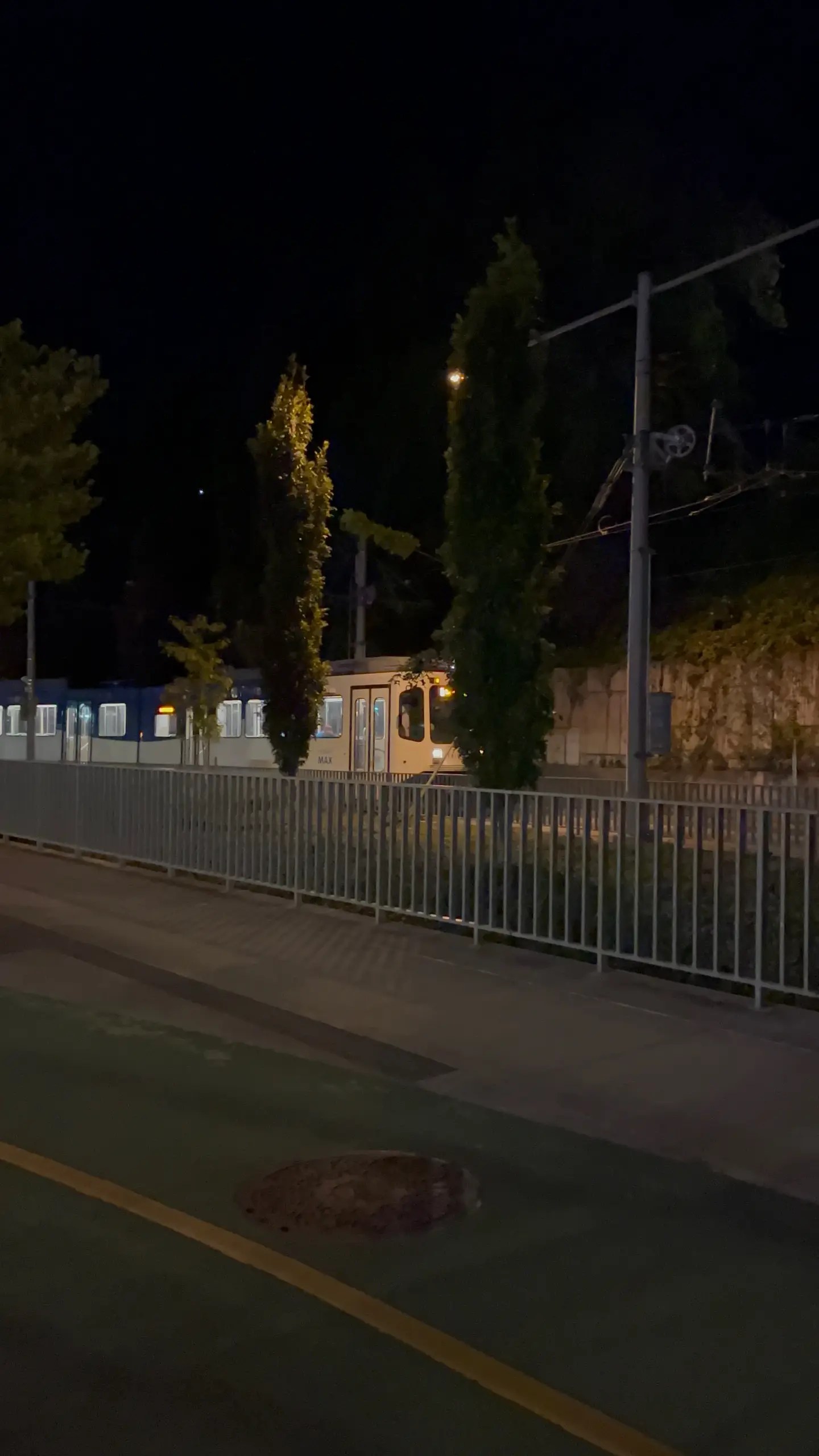 Photo of TriMet MAX car 110 heading northbound along the Harbor Viaduct in South Waterfront.