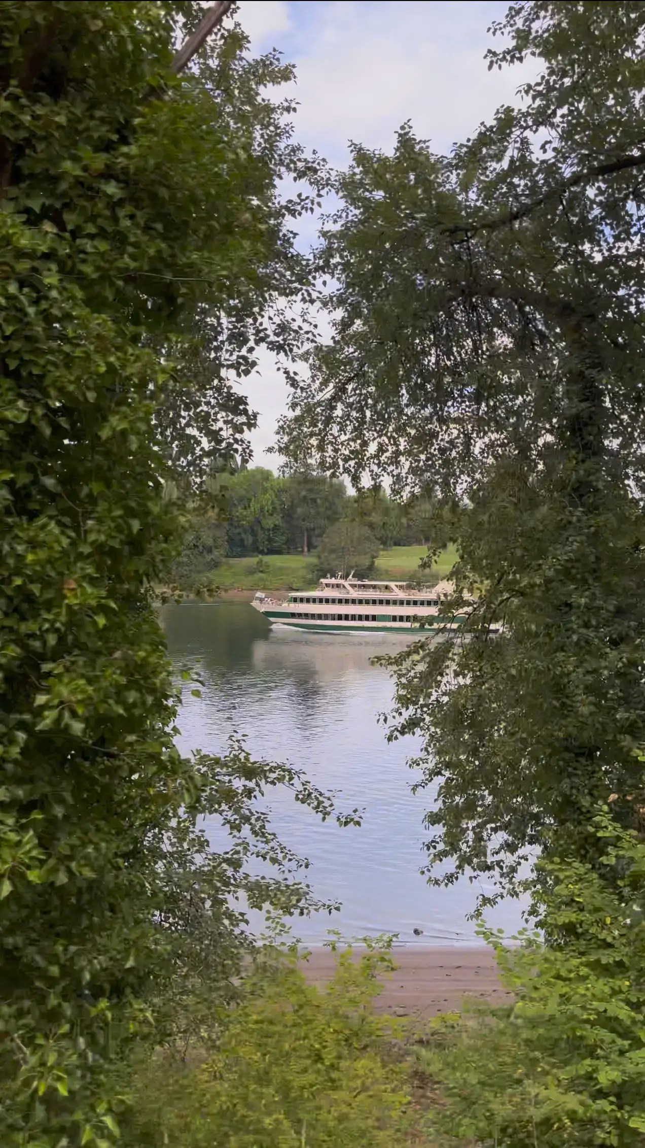 Video still of the Portland Spirit seen through trees while on the Willamette Shore Trolley.