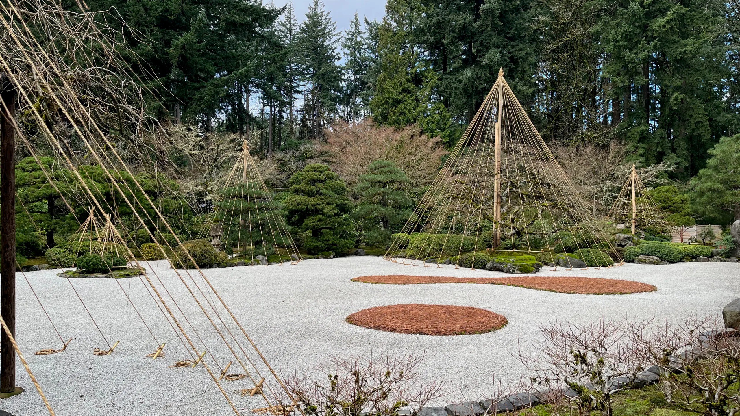 Photo of yukizuri in the Flat Garden of the Portland Japanese Garden.