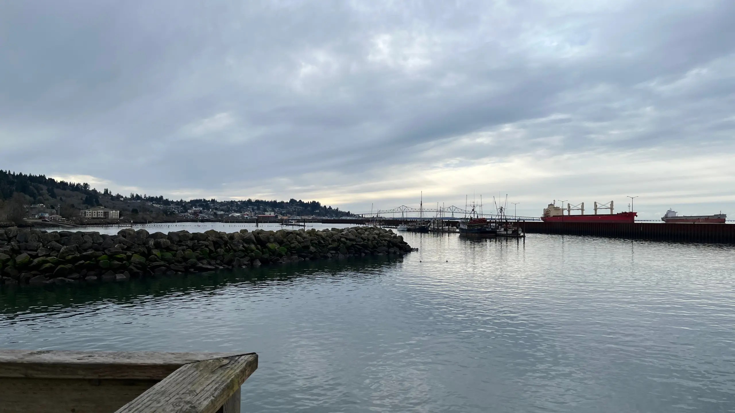 Photo of seals lounging in the far distance on a dock seen from Pier 39 in Astoria, Oregon.