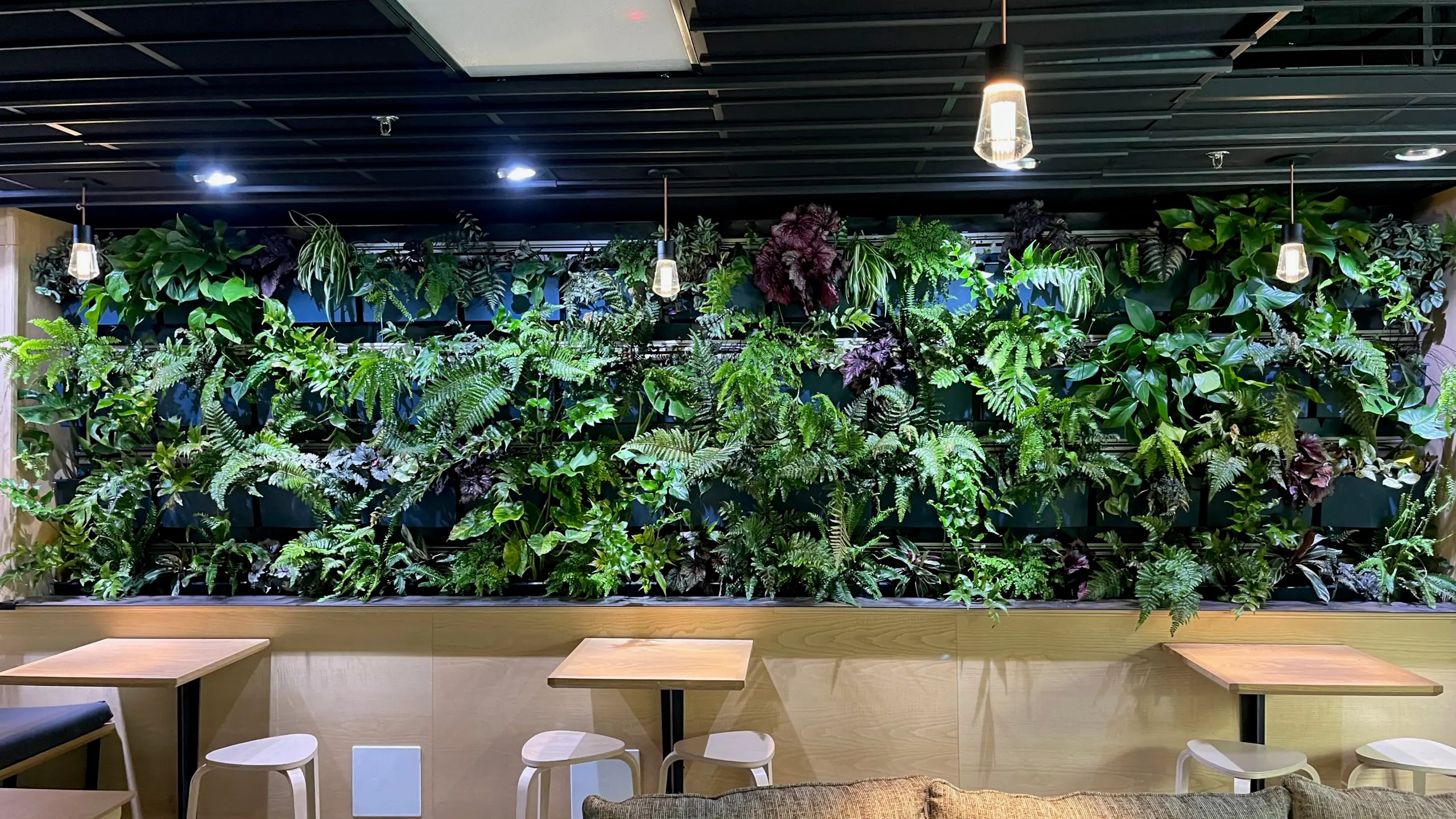Photo of a living plant wall on the second floor of All your Heart Coffee's second location in Downtown Portland.