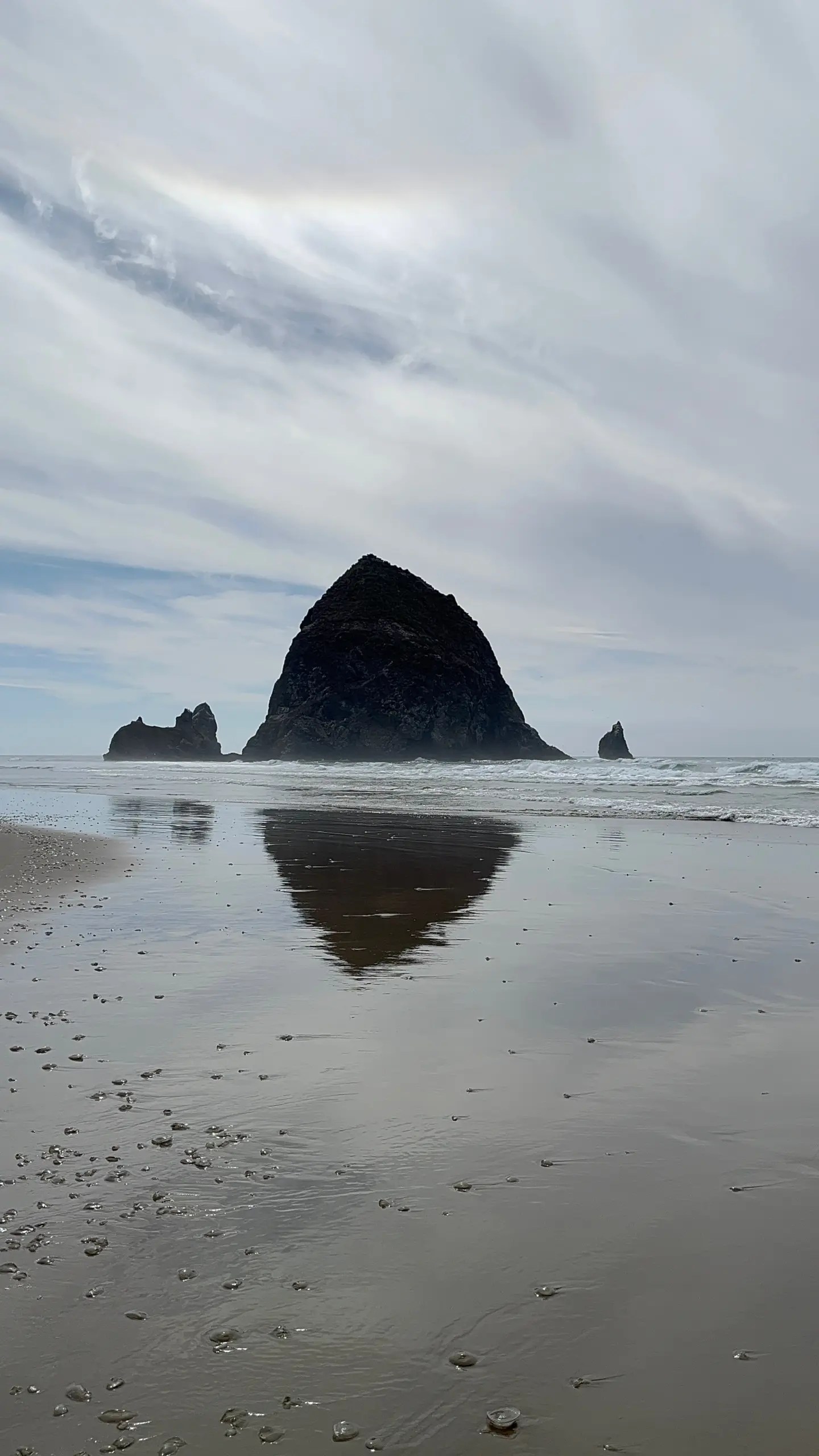 Photo of Haystack Rock in Cannon Beach, OR. It can be seen with the ocean in the background of the photo while a pile of Alaskan Jellyfish can be seen in the sand in the foreground.