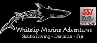 Whitetip Marine Adventures