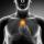 The Fibromyalgia-Thyroid Connection. If Your TSH Thyroid Test is Normal, You Better Read this