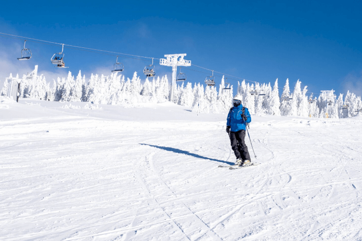 athlete skiing