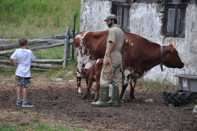 Foot Farm 2012 – Growing the Farm – Fiddle Foot Farm