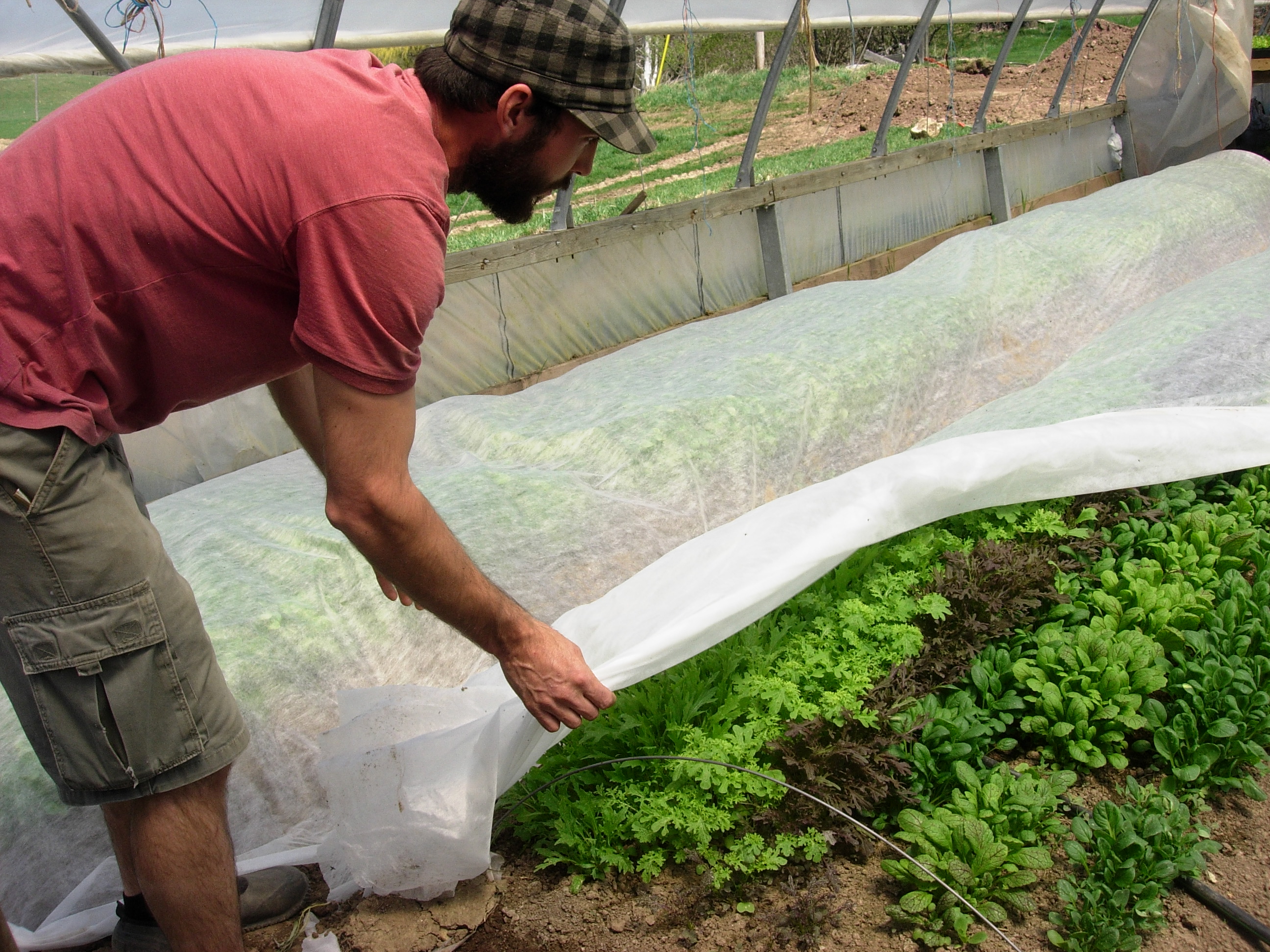 2013 – Fun on the Farm – Fiddle Foot Farm