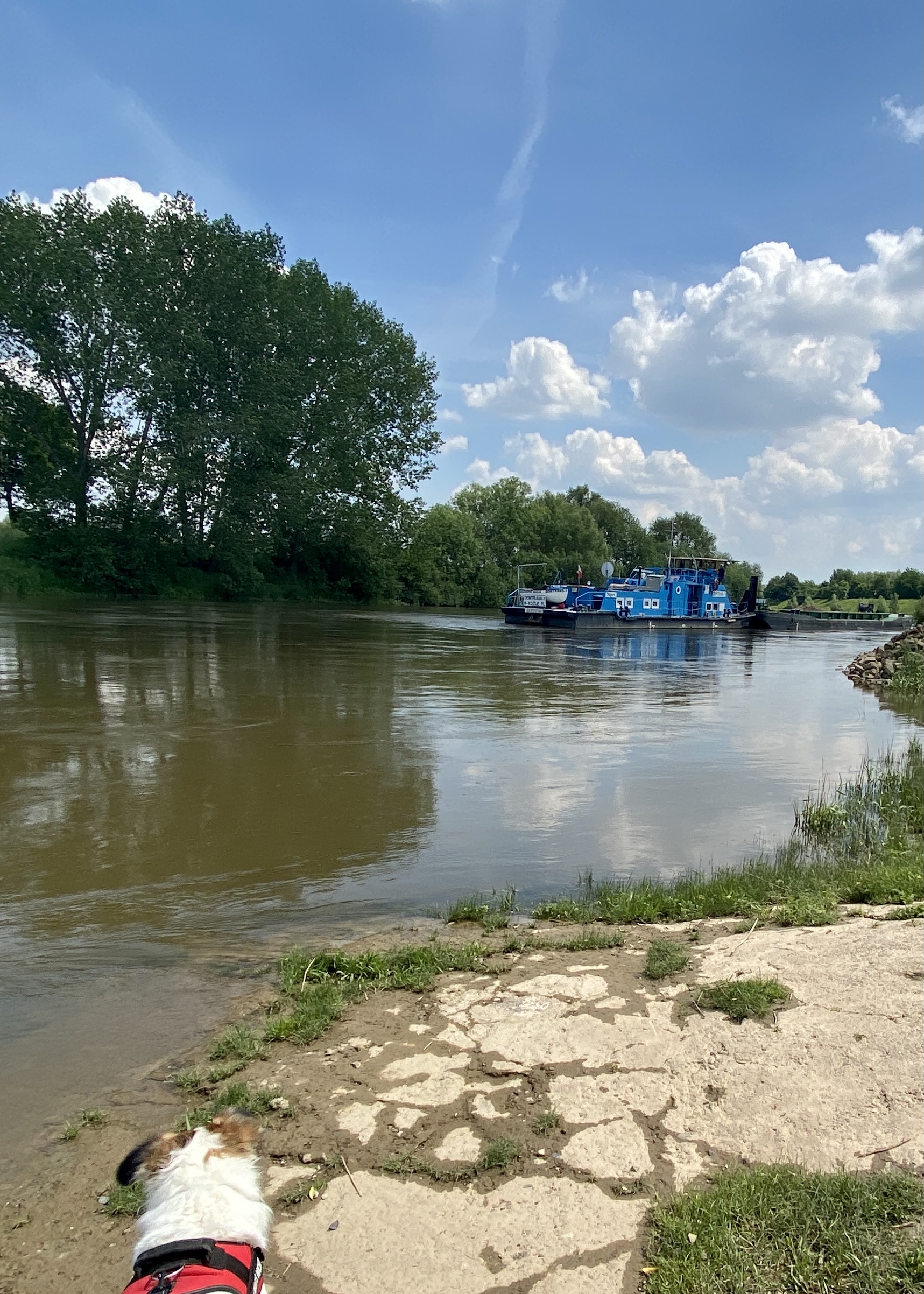 Eine Transportschute für das Weserkieswerk
