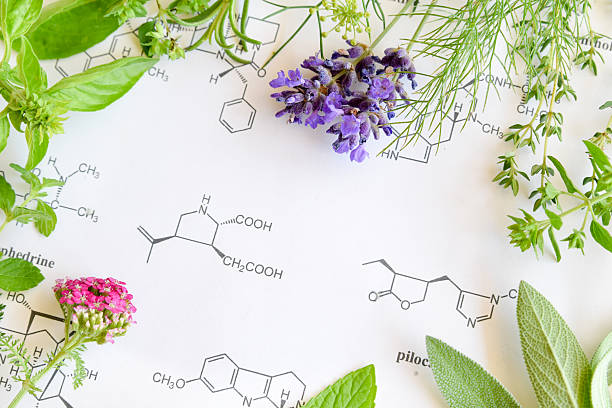 KNOW WHAT YOU ARE CONSUMING FIDELS TERPENE GUIDE