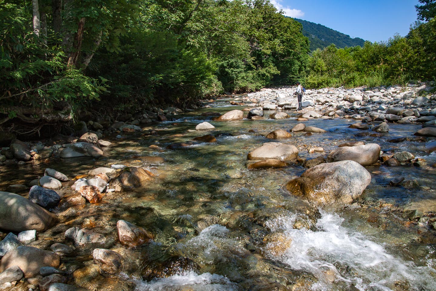 mg_8967.jpg?fit=1200,800&ssl=1