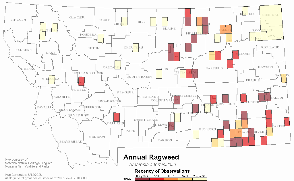 Annual Ragweed Montana Field Guide RecencyMap PDAST0C030 FS 
