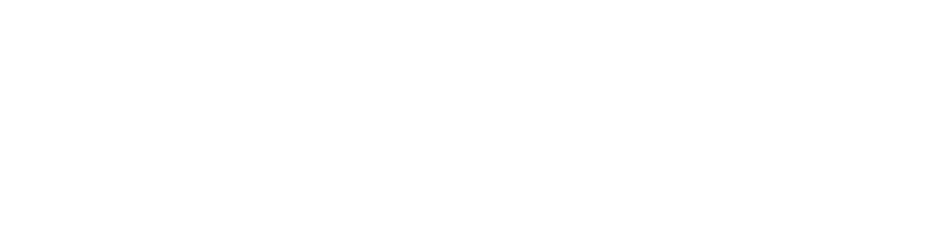 ROGUE-RADIAL-BRAKES