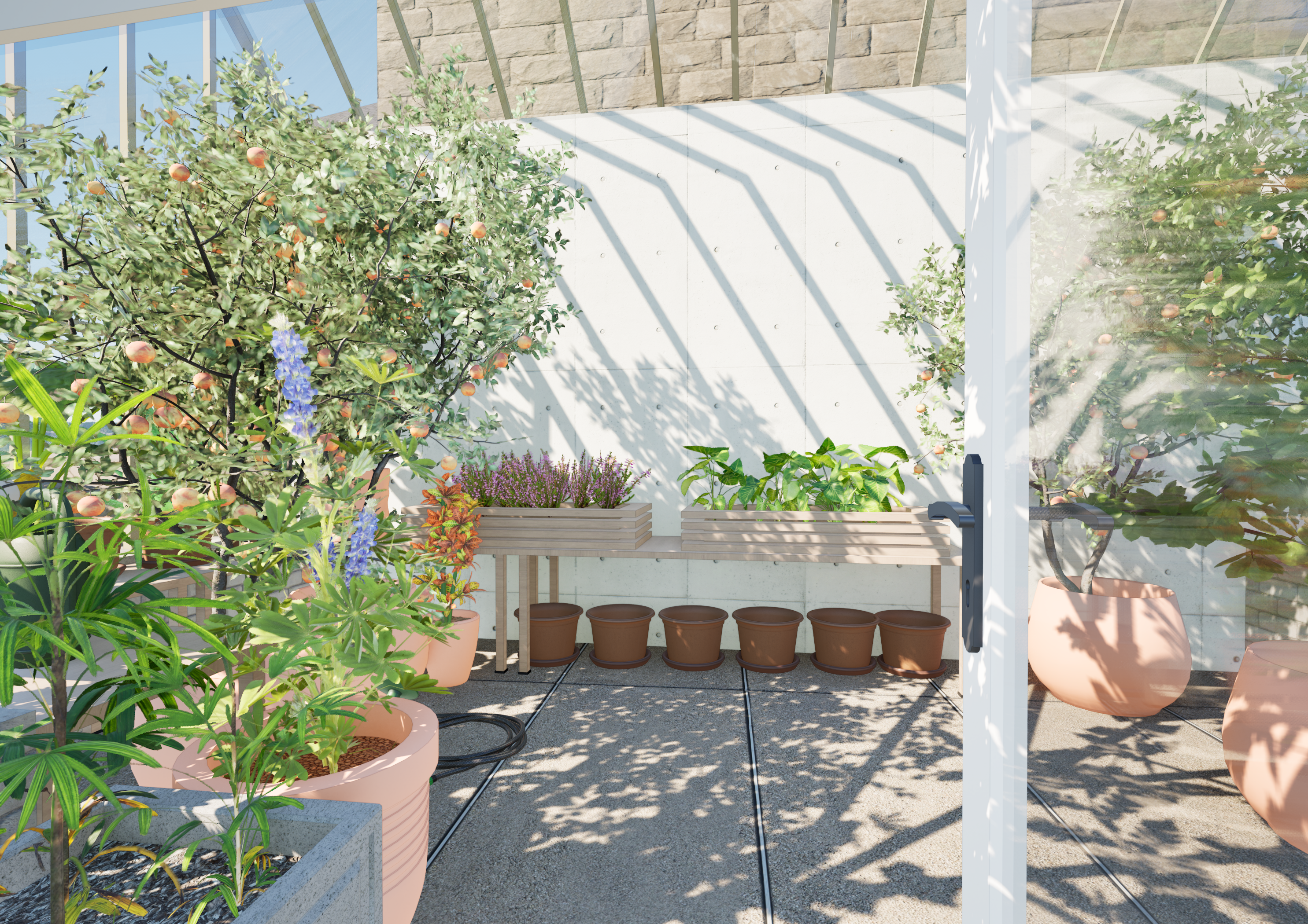 7_GREENHOUSE