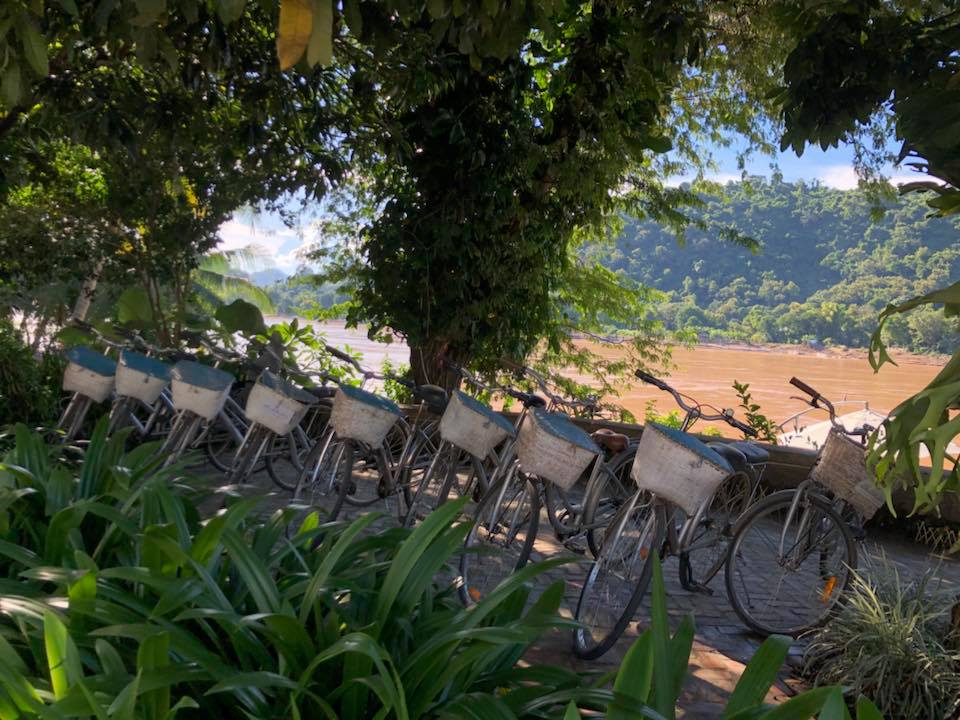 Riverfront Bikes to Rent