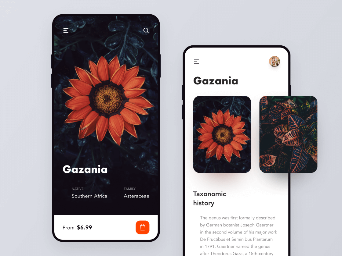 Download all free psd graphics mockups templates for magazine, book, stationery,. Flowers Shop Concept Free Figma Resource Figma Elements