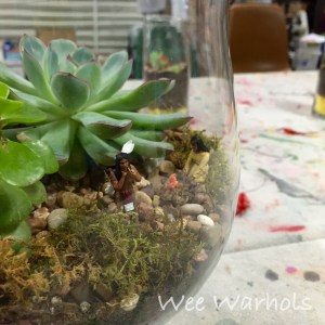 terrarium, terrariums, Wee Warhols, Austin TX, succulents