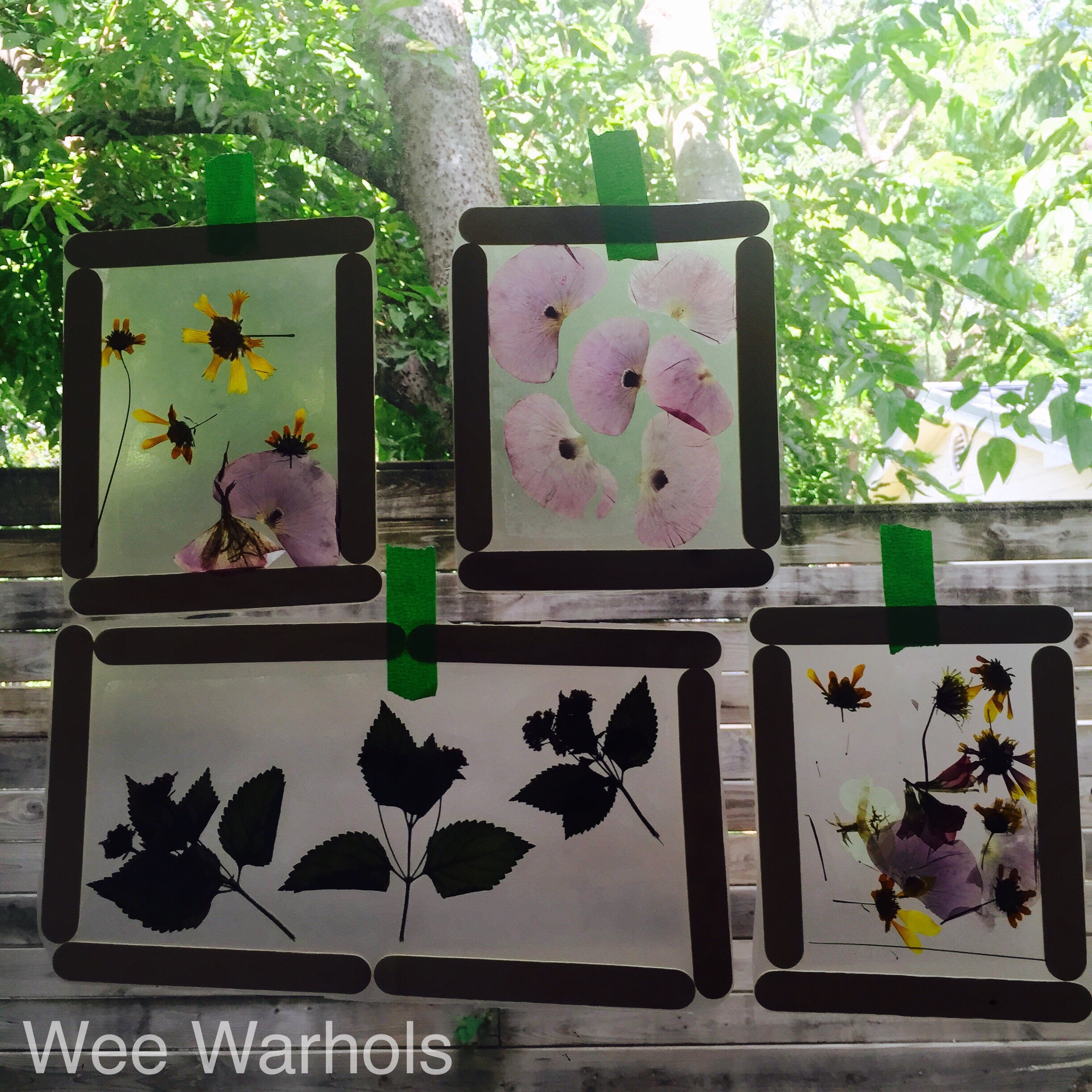 pressed flowers, dried flowers, kids art, Wee Warhols, Austin