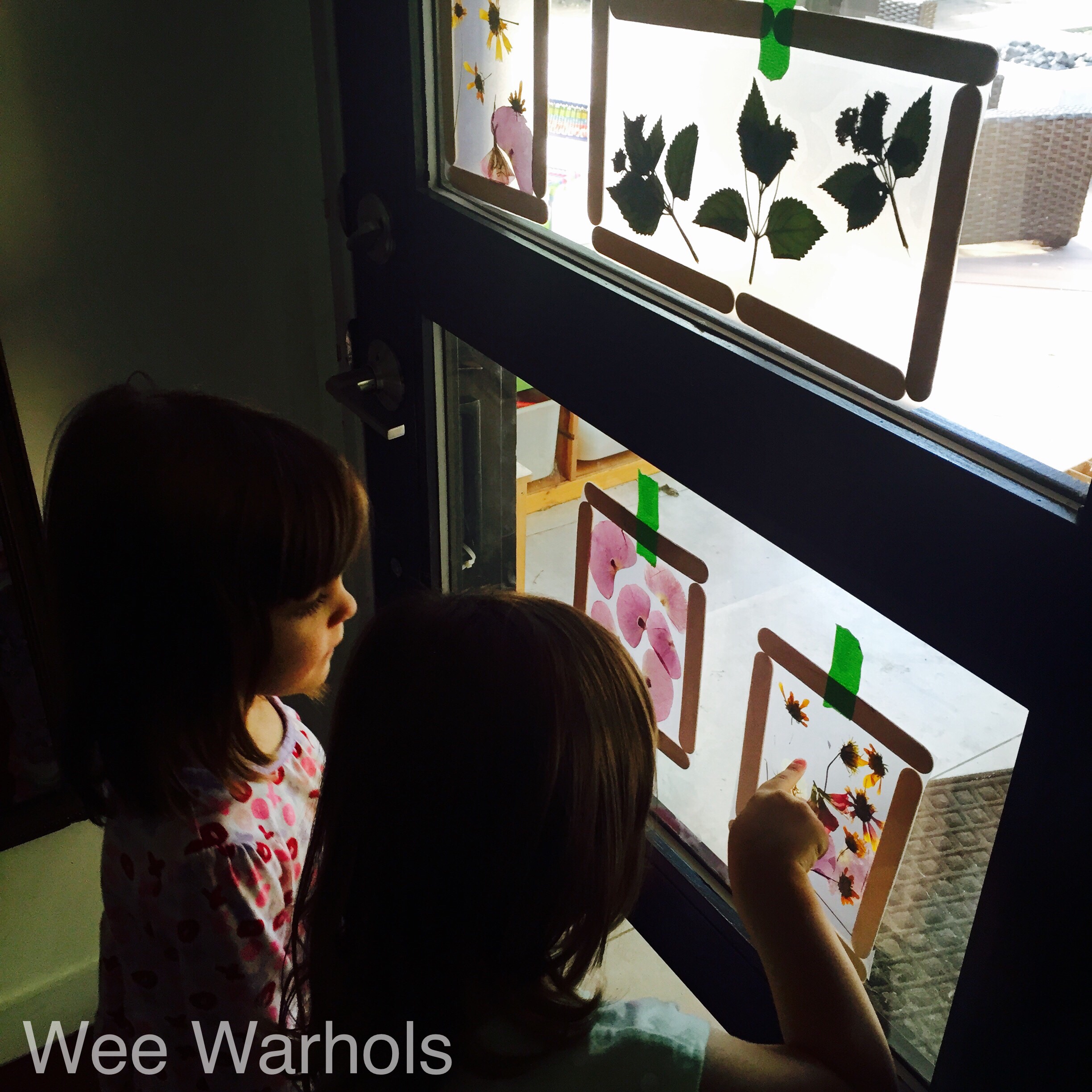 pressed flowers, dried flowers, kids art, Wee Warhols, Austin