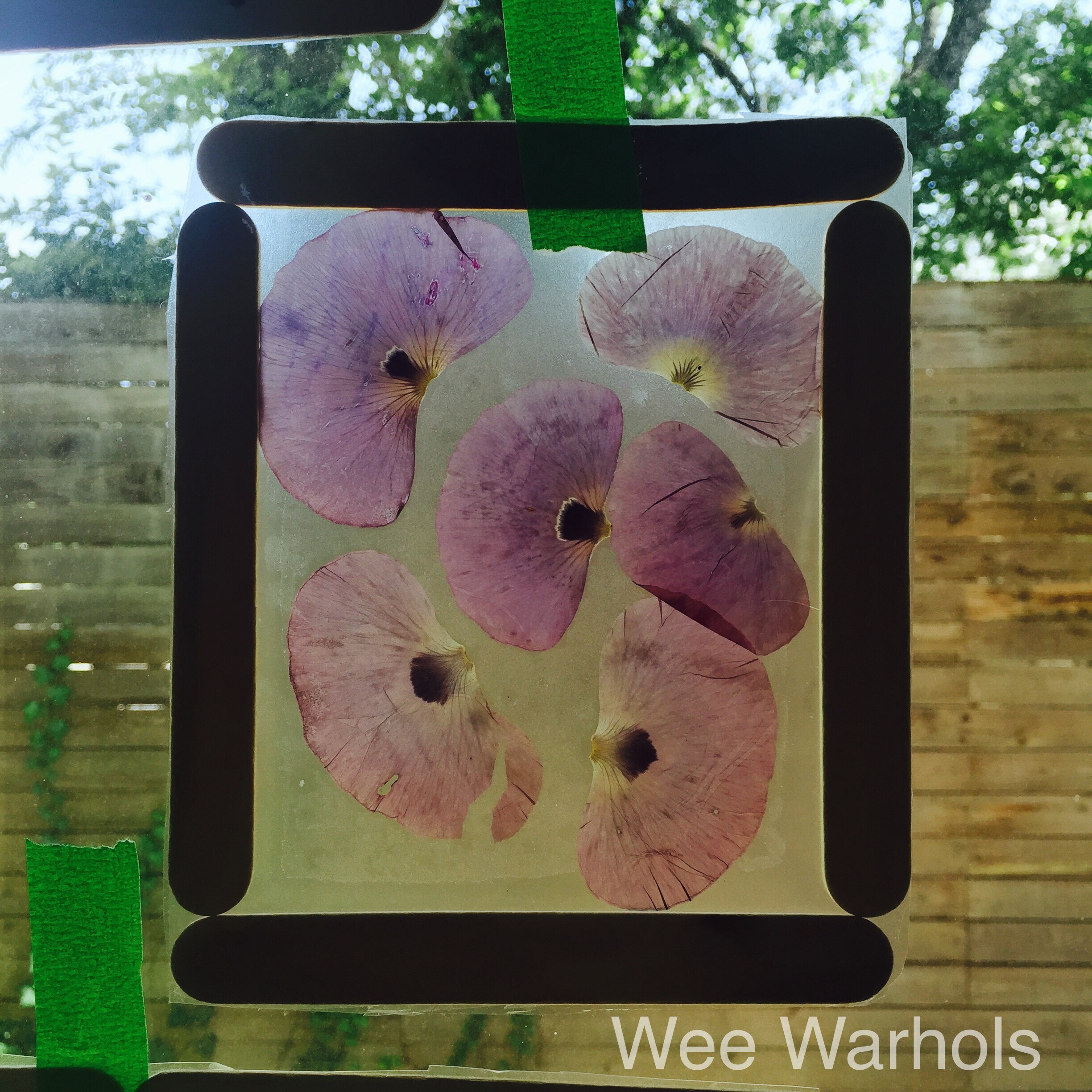 pressed flowers, dried flowers, kids art, Wee Warhols, Austin