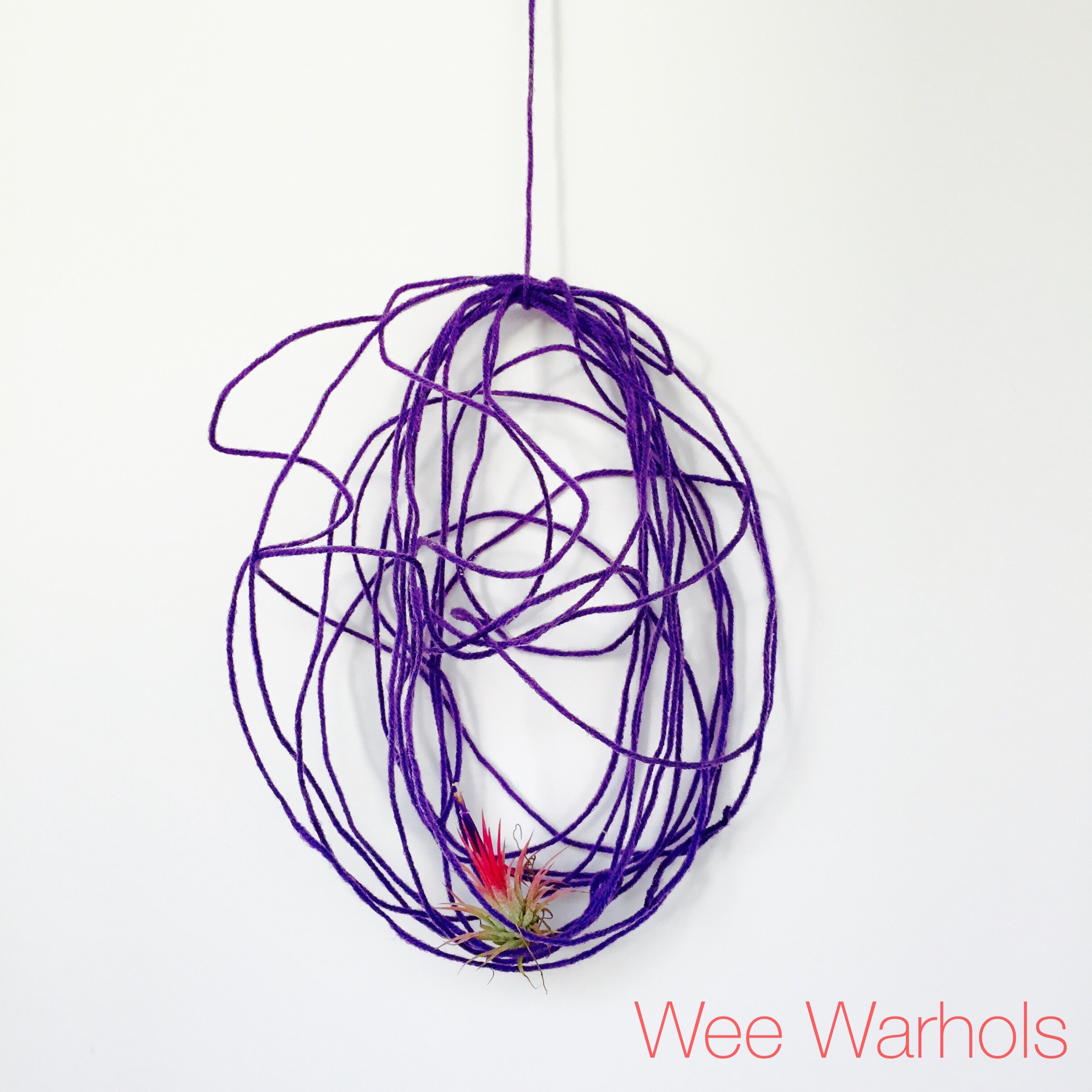 Wee Warhols, Austin, yarn, air plants, plant holder